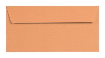 5 Umschläge 120g Kurkuma Orange DL Briefumschlag